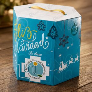 Cajas para Paneton Imprenta Grafica Garcia Lima Peru